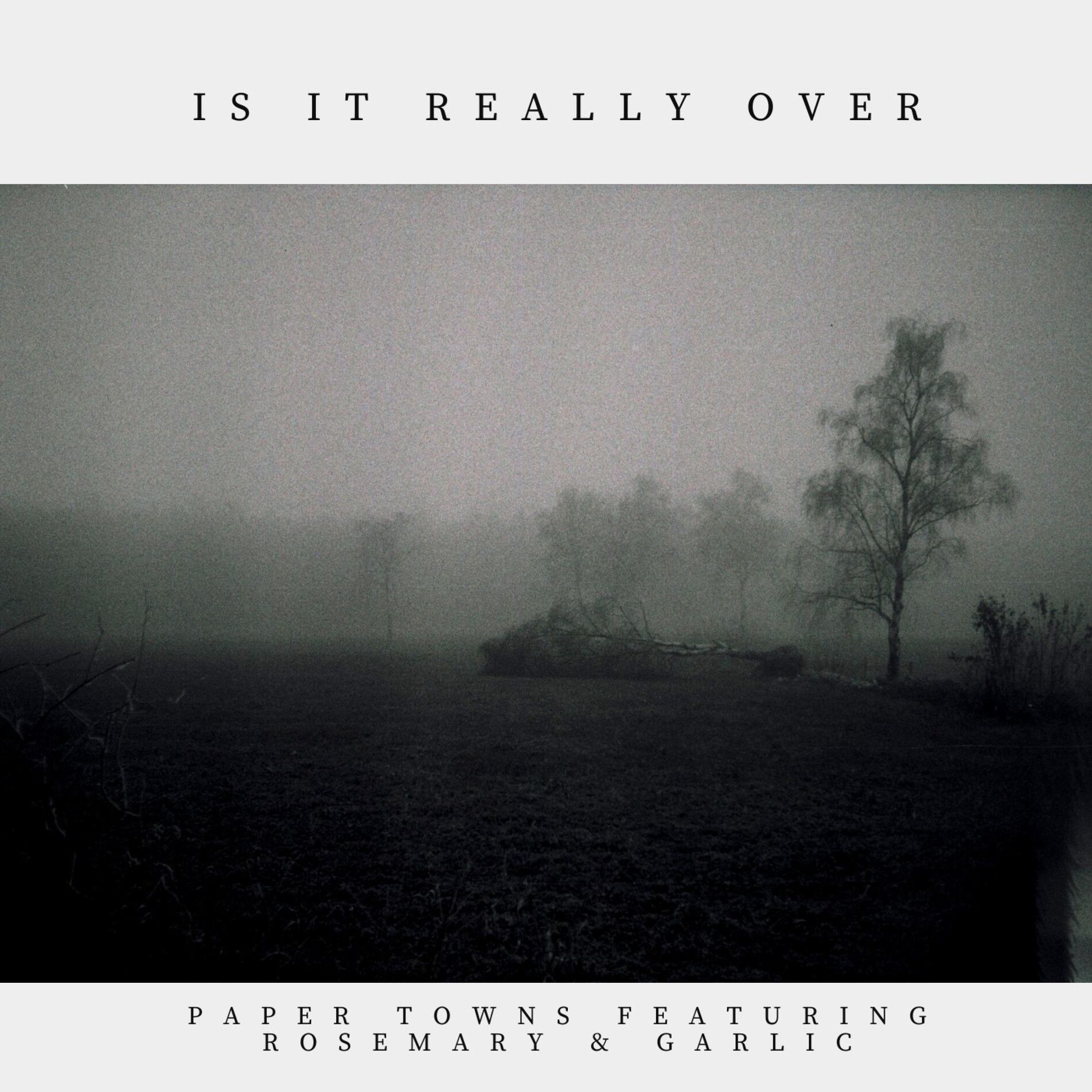Album cover of Is It Really Over (feat. Rosemary & Garlic)
