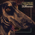 Dubhuman