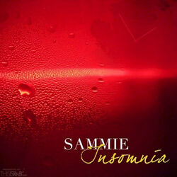 Cover of Insomnia