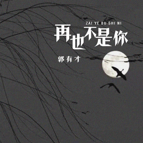 再也不是你 (DJ何友版)