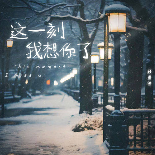 这一刻我想你了