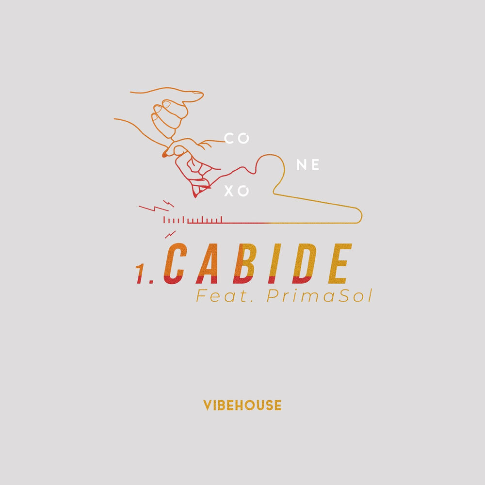 Picture of Cabide
