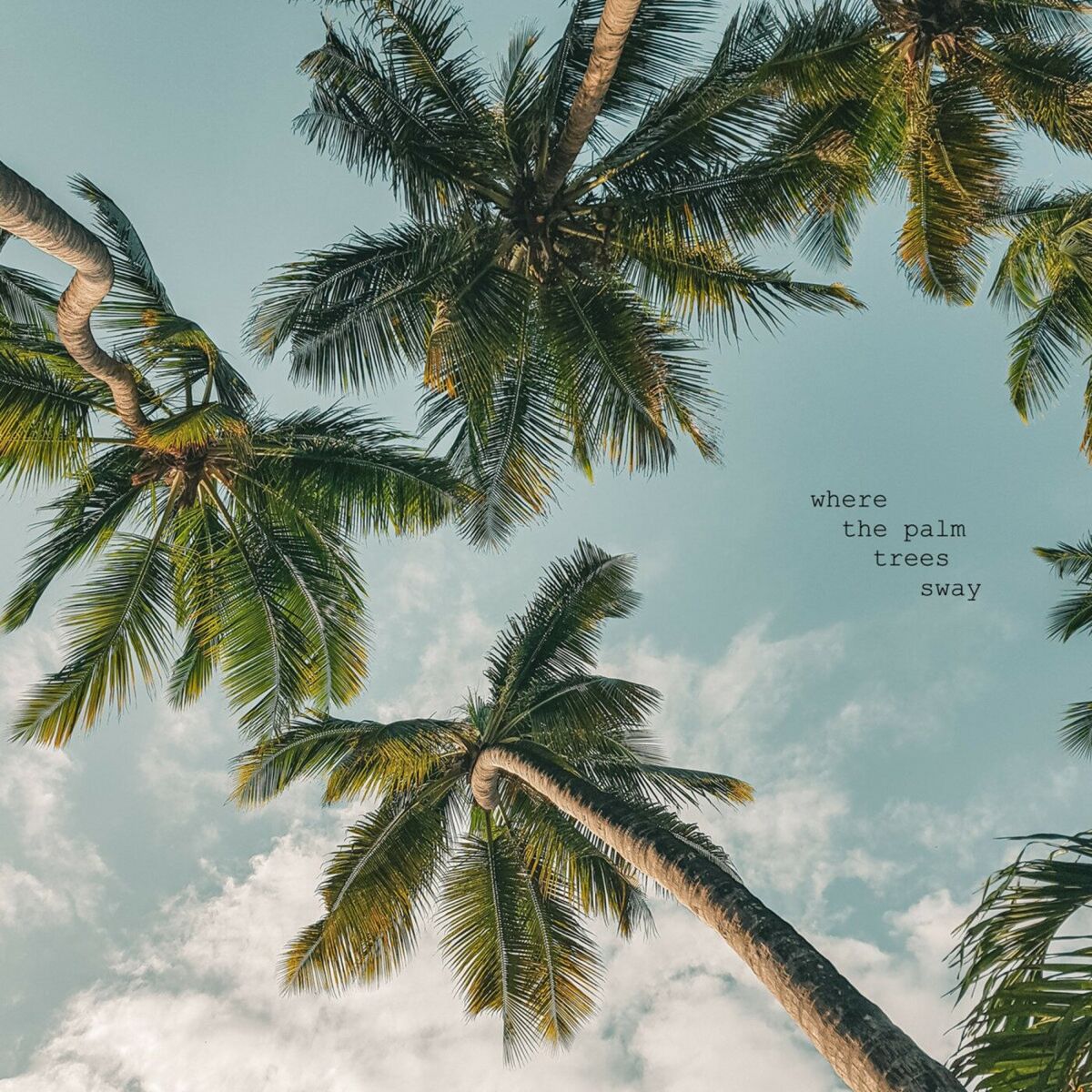 Album cover of where the palm trees sway