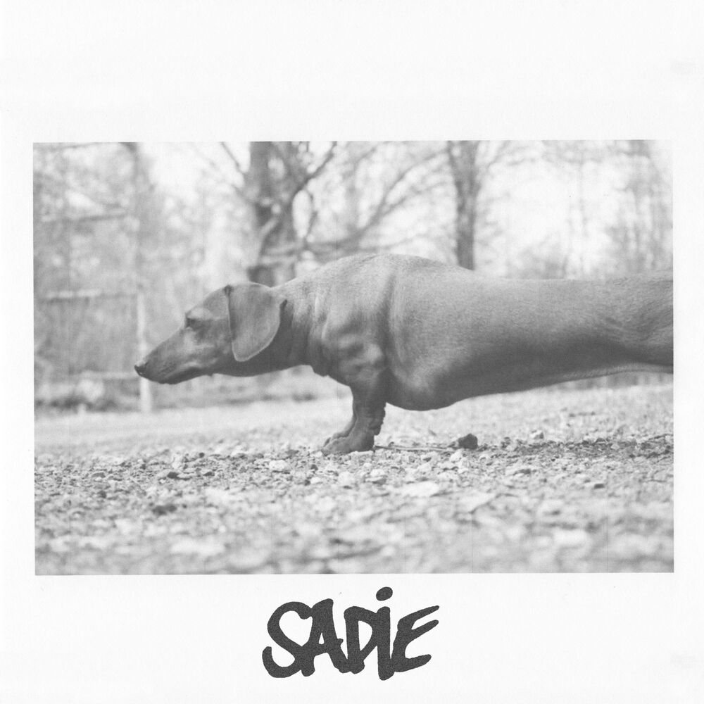 Picture of Sadie
