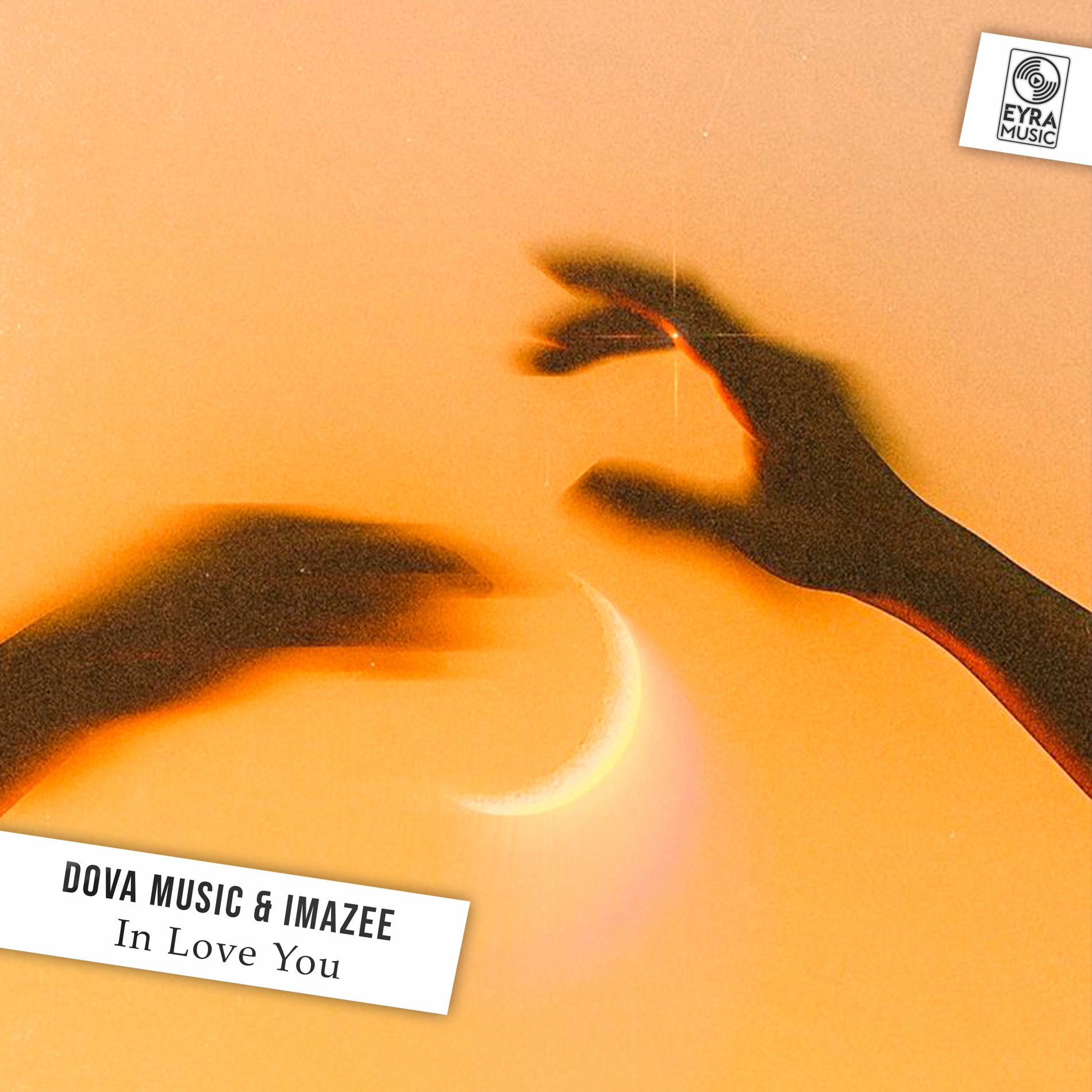 Album cover of In Love You