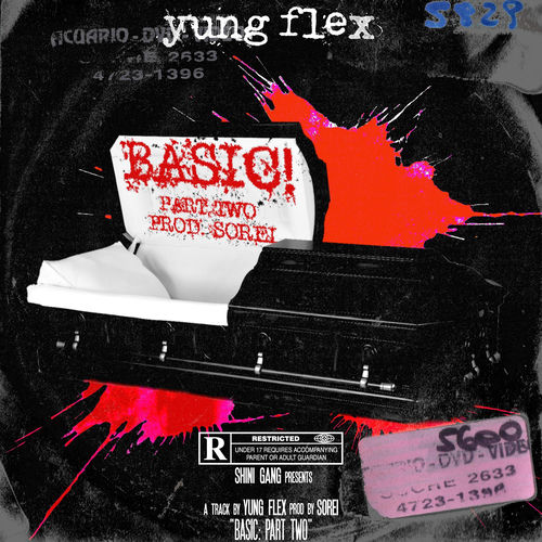 BASIC! PT. 2