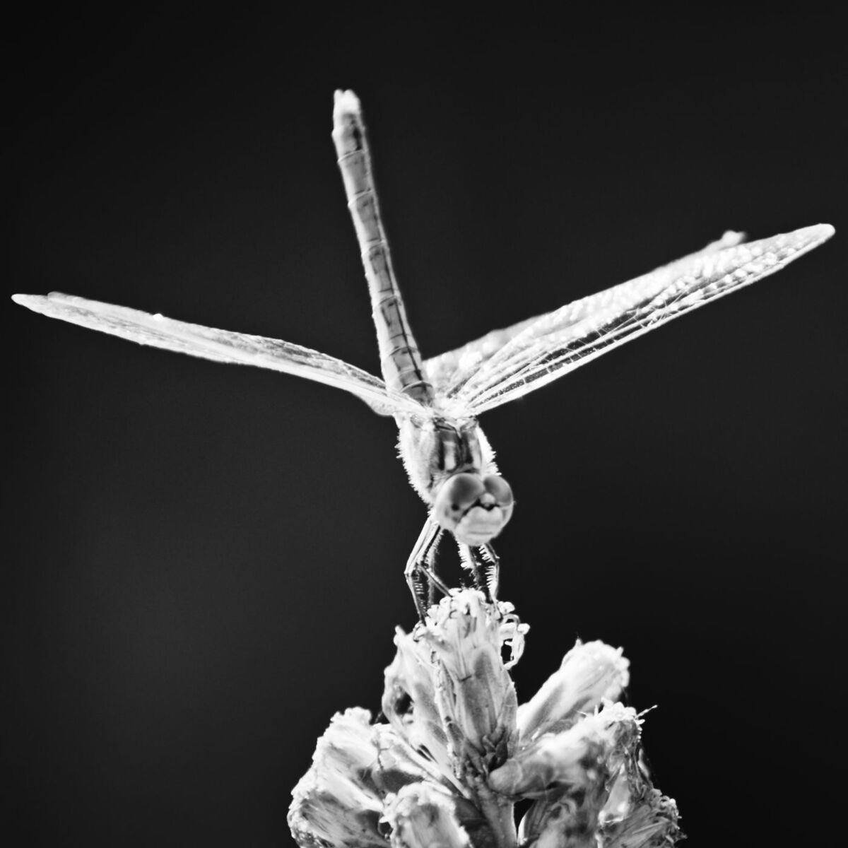 Album cover of Unconditional