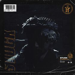 Cover of Stuck