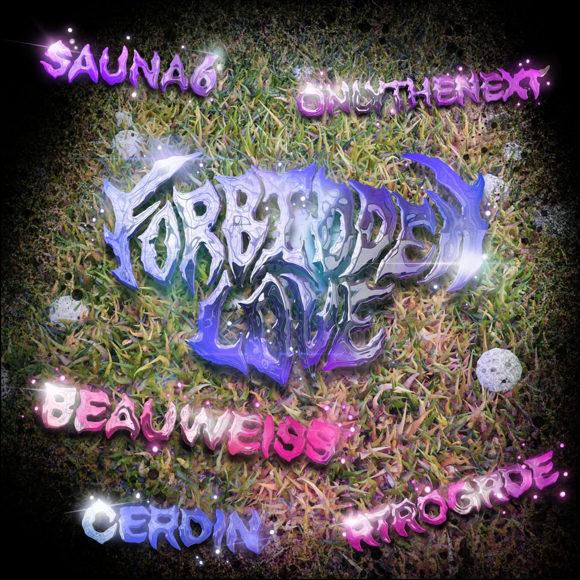 Album cover of Forbidden Love Remixes
