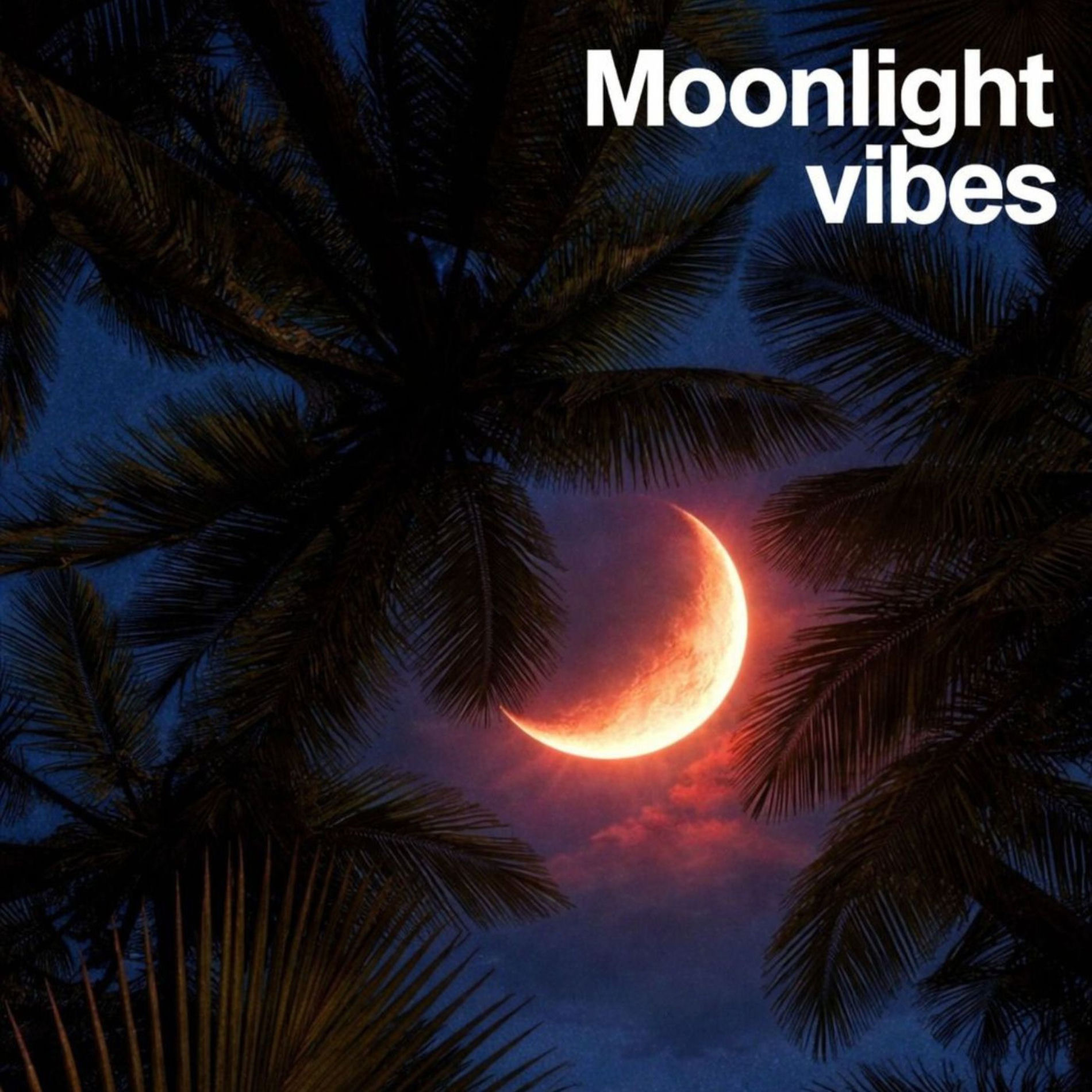 Album cover of Moonlight Vibe