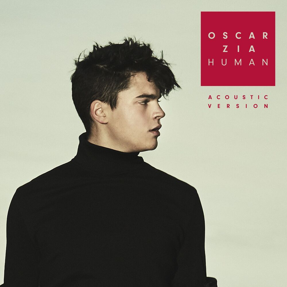 Picture of Human (Acoustic Version)