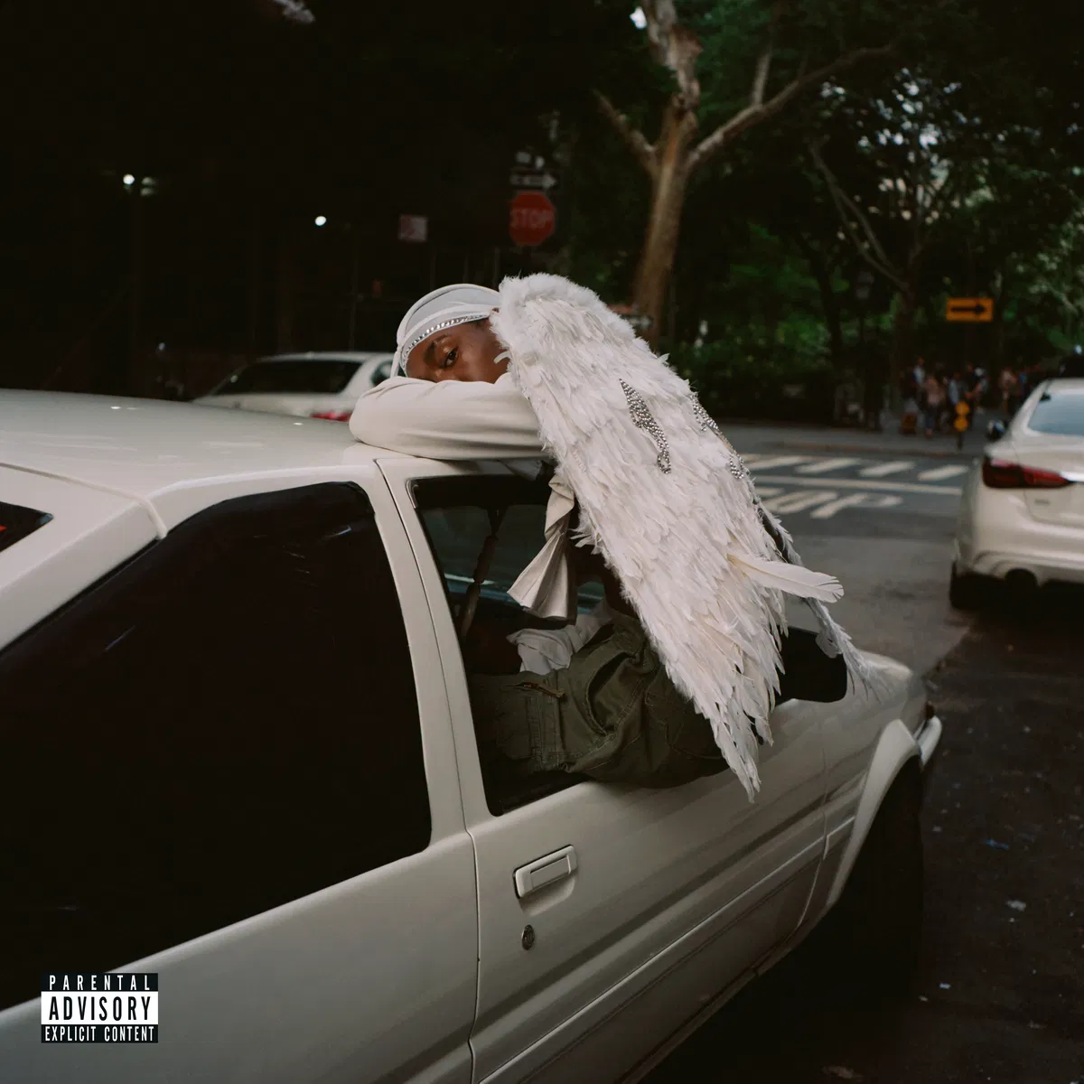 Negro Swan, Blood Orange