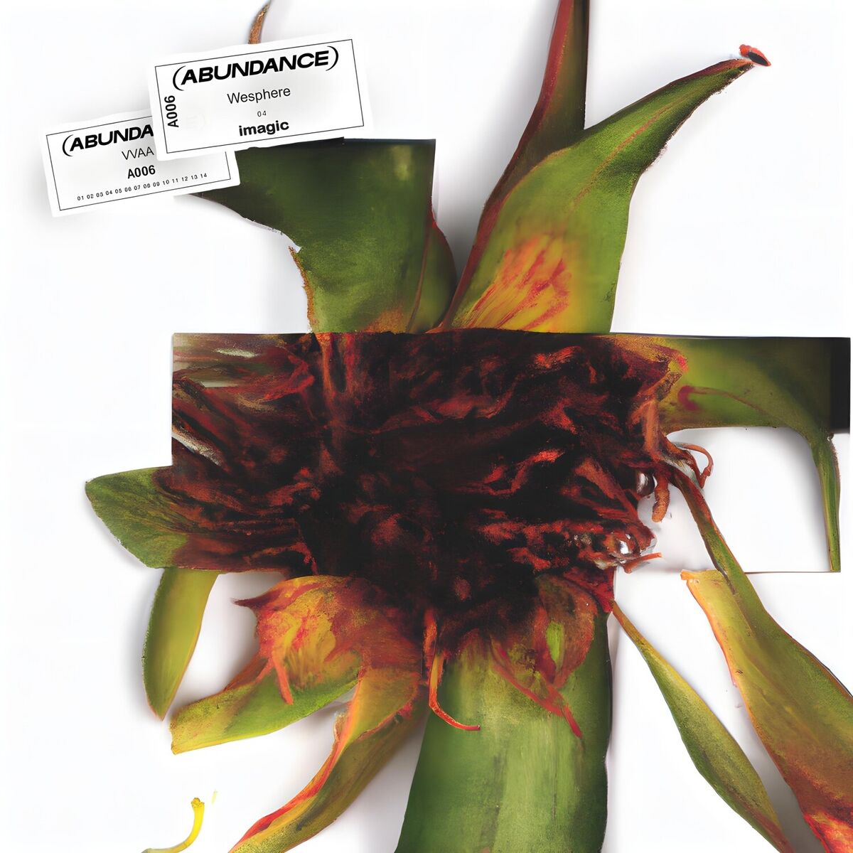 Album cover of imagic