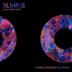 Cover of What You Want (FooR x Soulecta Remix)