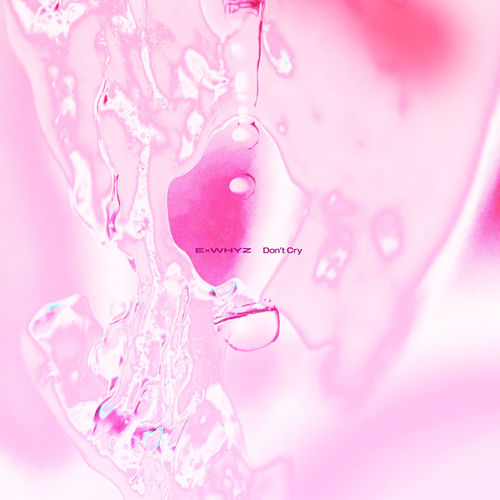 DON'T CRY artwork
