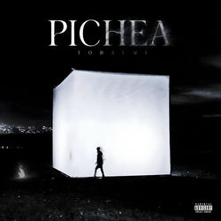 Descargar Pichea - Tobal Mj MP3