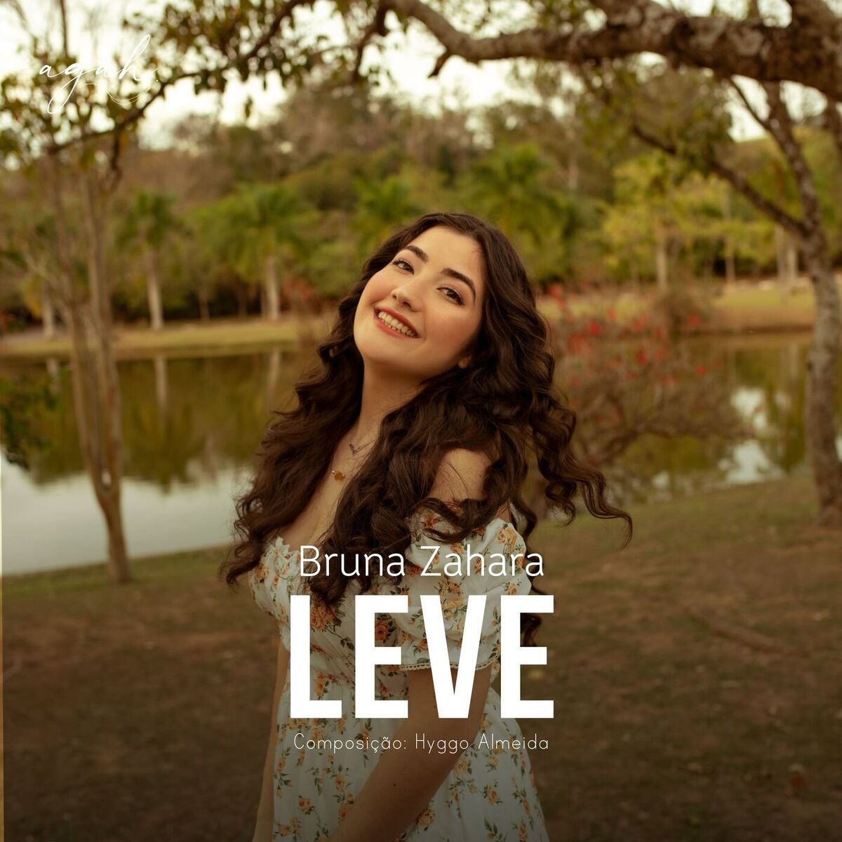 Album cover of Leve