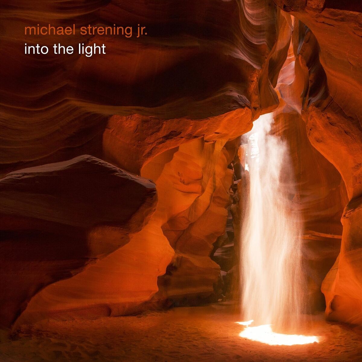 Album cover of Into the Light