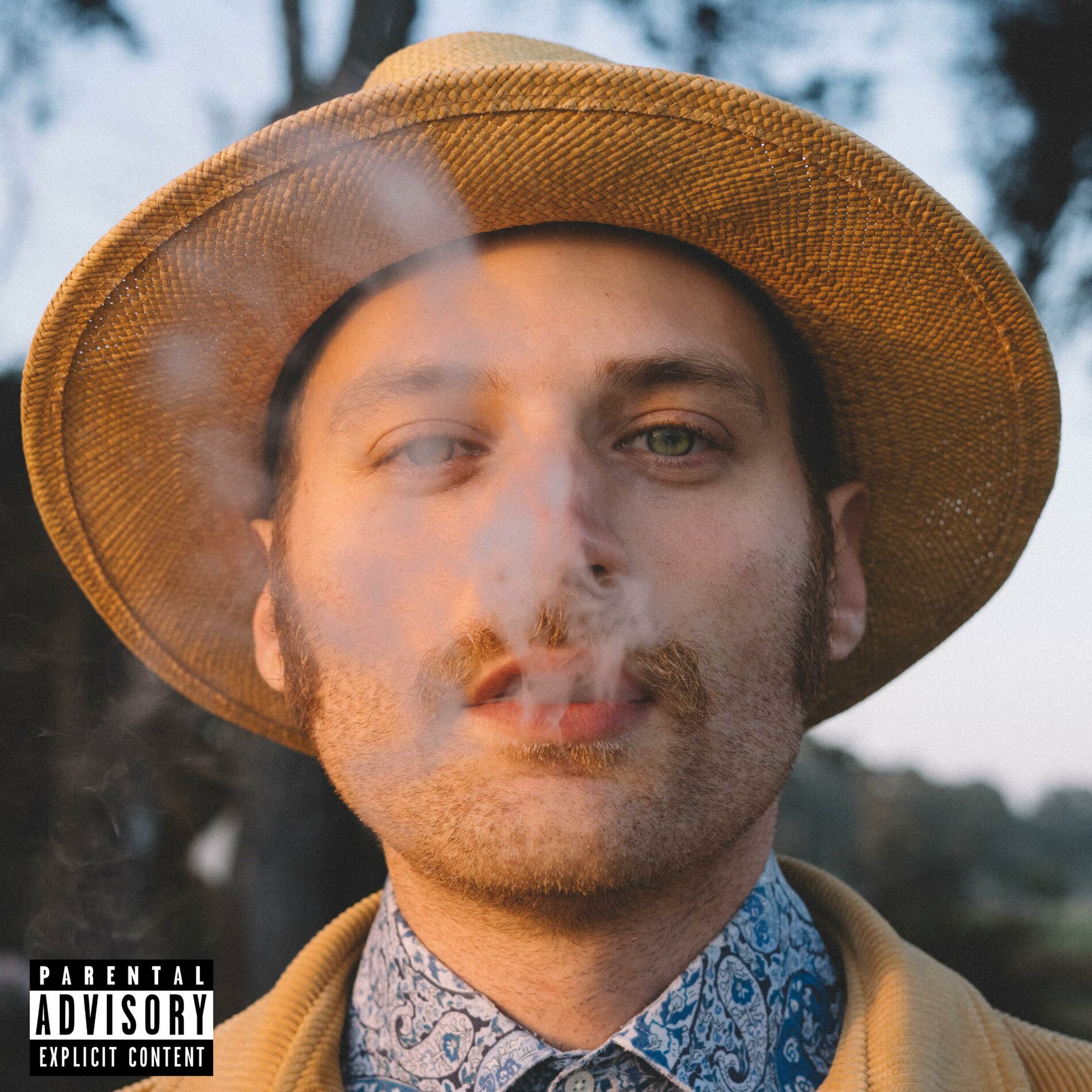 Album cover of Blues Trap 2