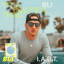 Cover of It's A Beautiful Thing