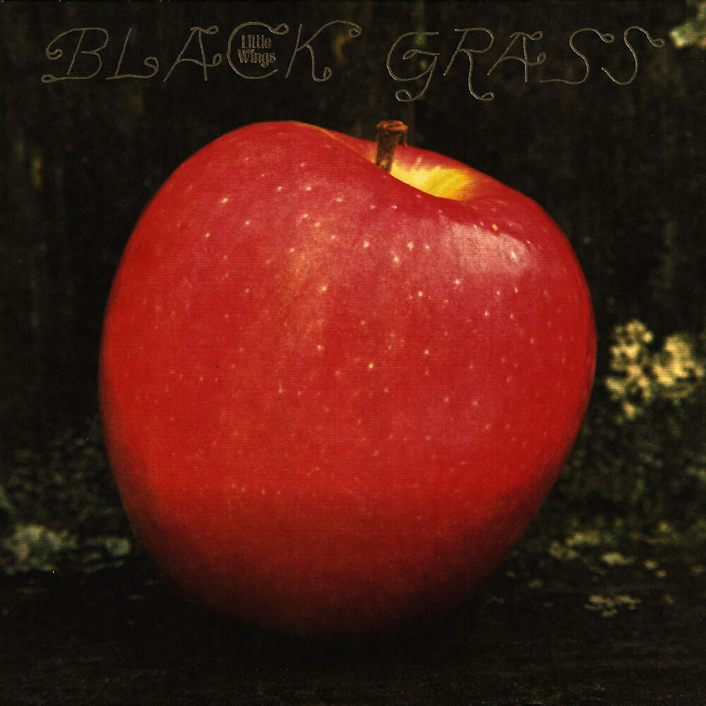 Picture of Black Grass