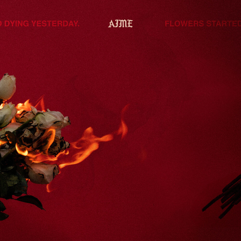 Picture of Flowers Started Dying Yesterday