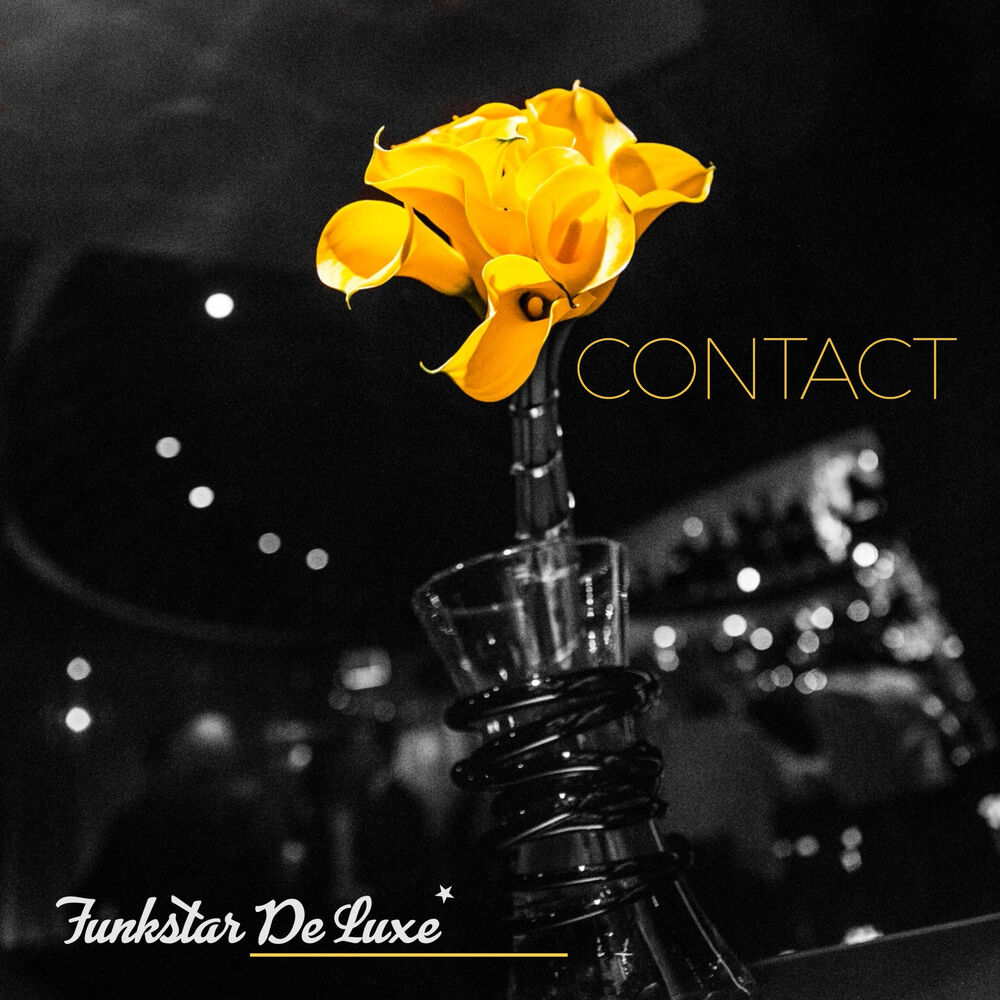 Picture of Contact