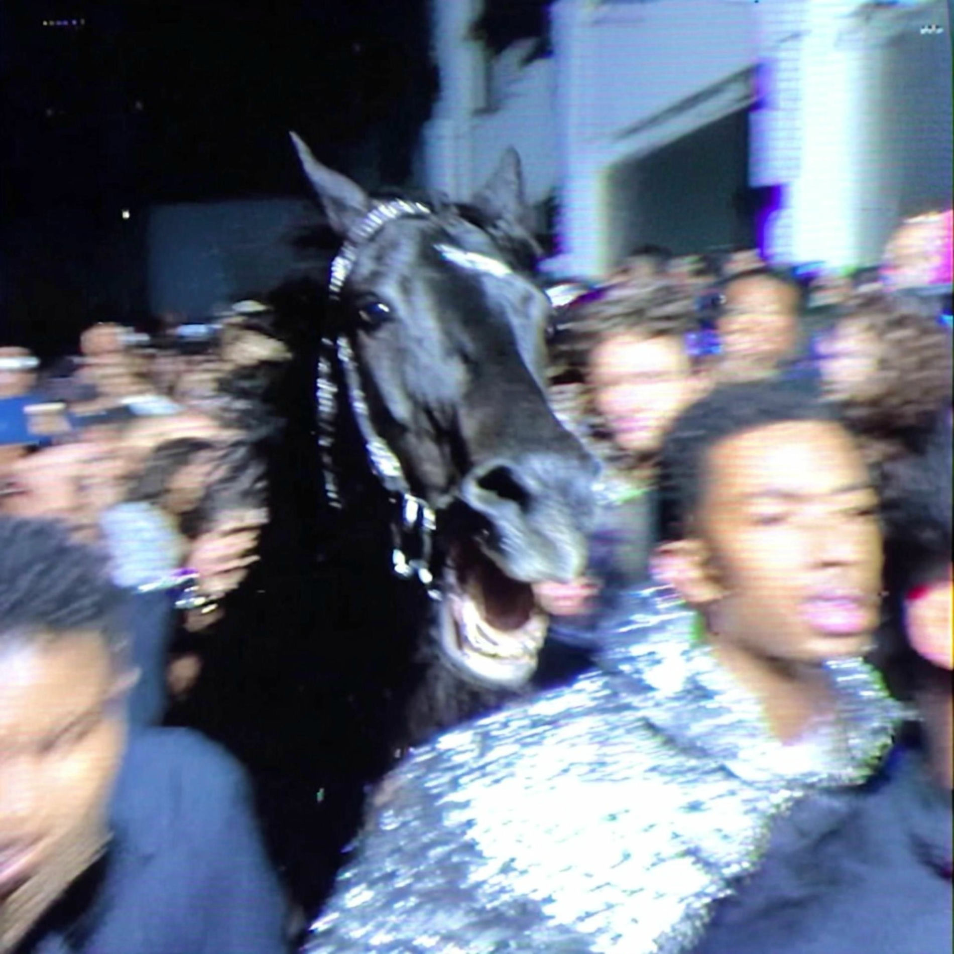 Album cover of NO MATTER WHAT (feat. DJ Mykael V, Mogli the Iceburg & Torey D'Shaun)