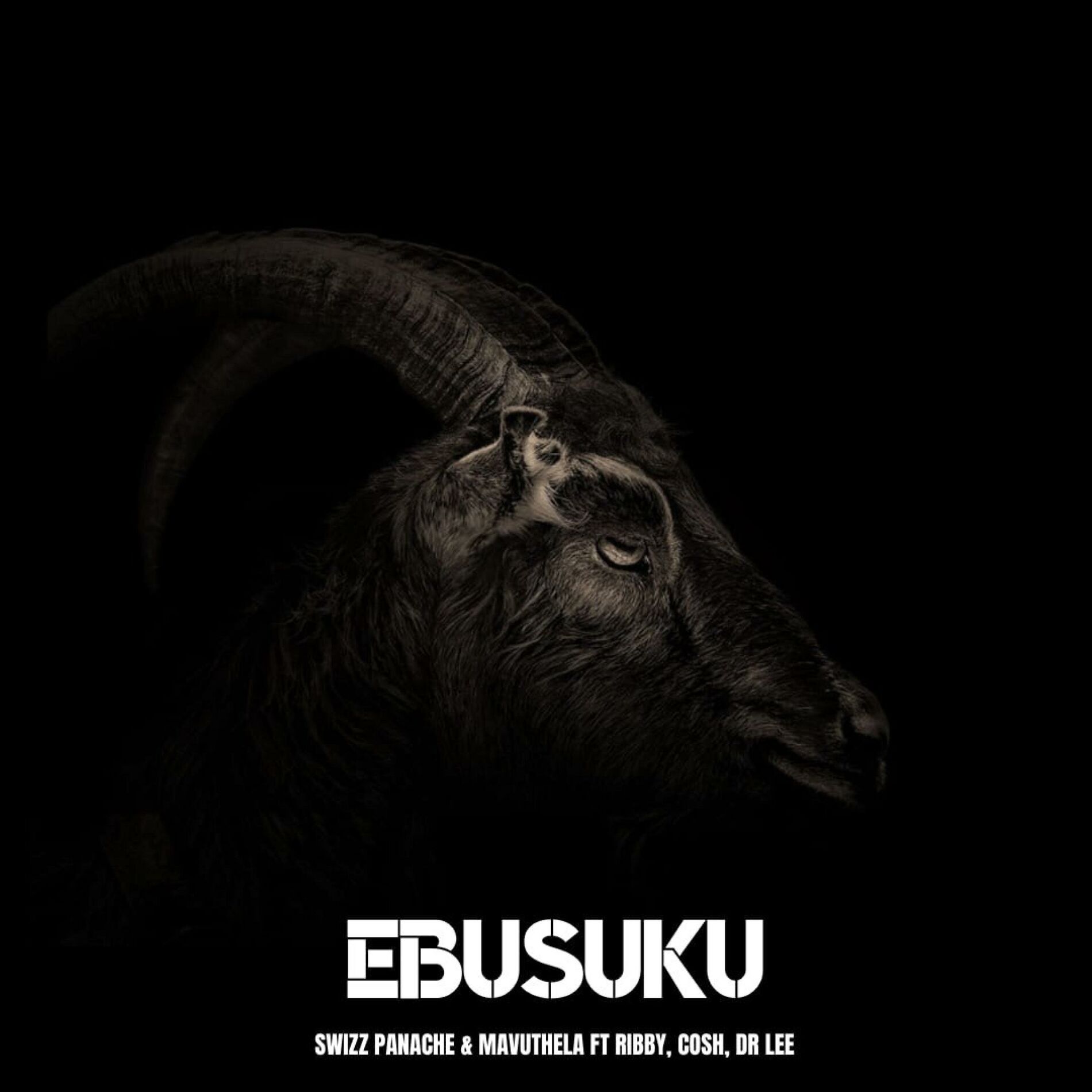 Album cover of Ebusuku (feat. Mavuthela, Ribby, Cosh & Dr Lee)