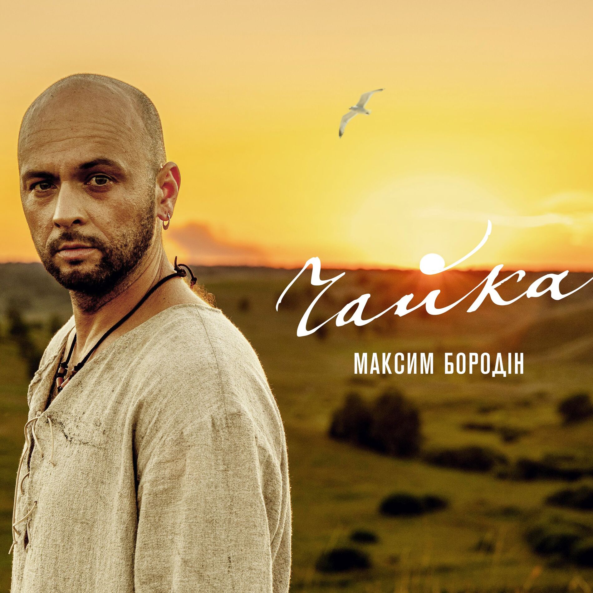 Album cover of Чайка