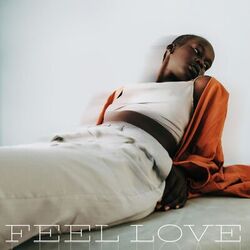 Cover of Feel Love