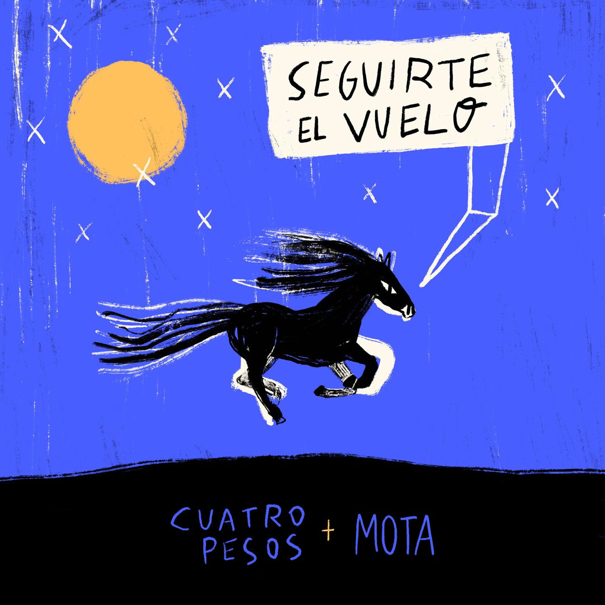 Album cover of Seguirte El Vuelo