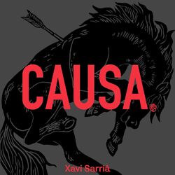 Cover of Causa