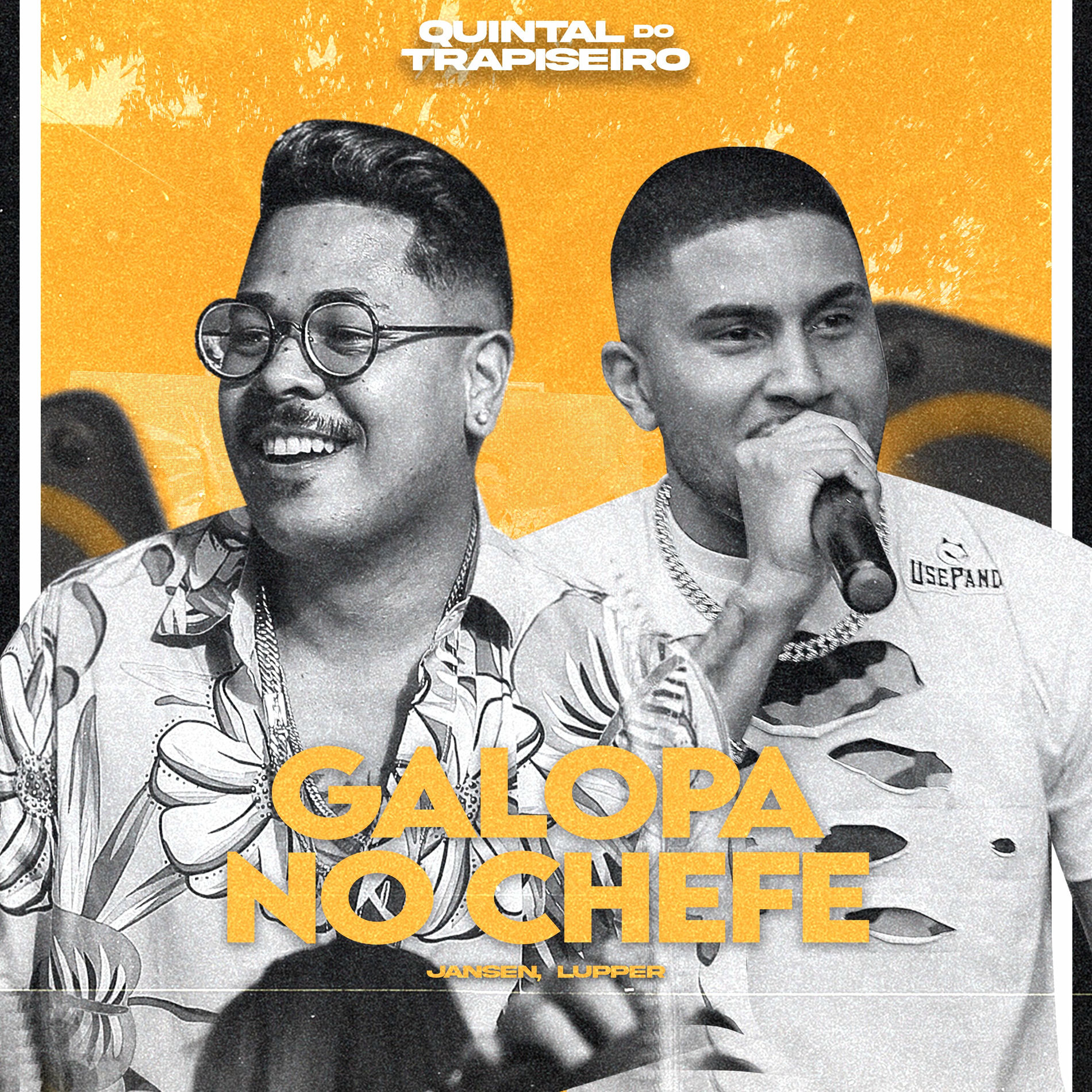 Album cover of Galopa no Chefe (Quintal do Trapiseiro)