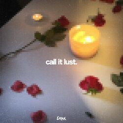 Cover of call it lust.