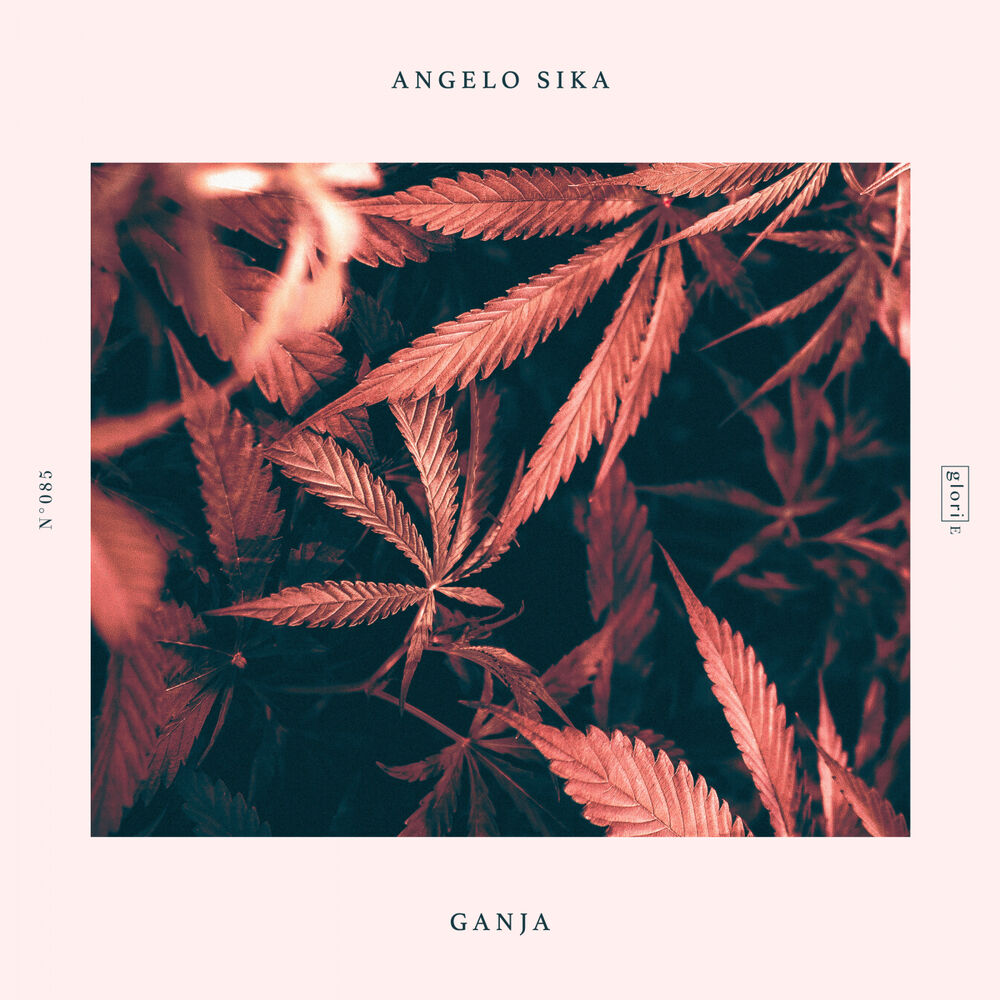 Picture of Ganja
