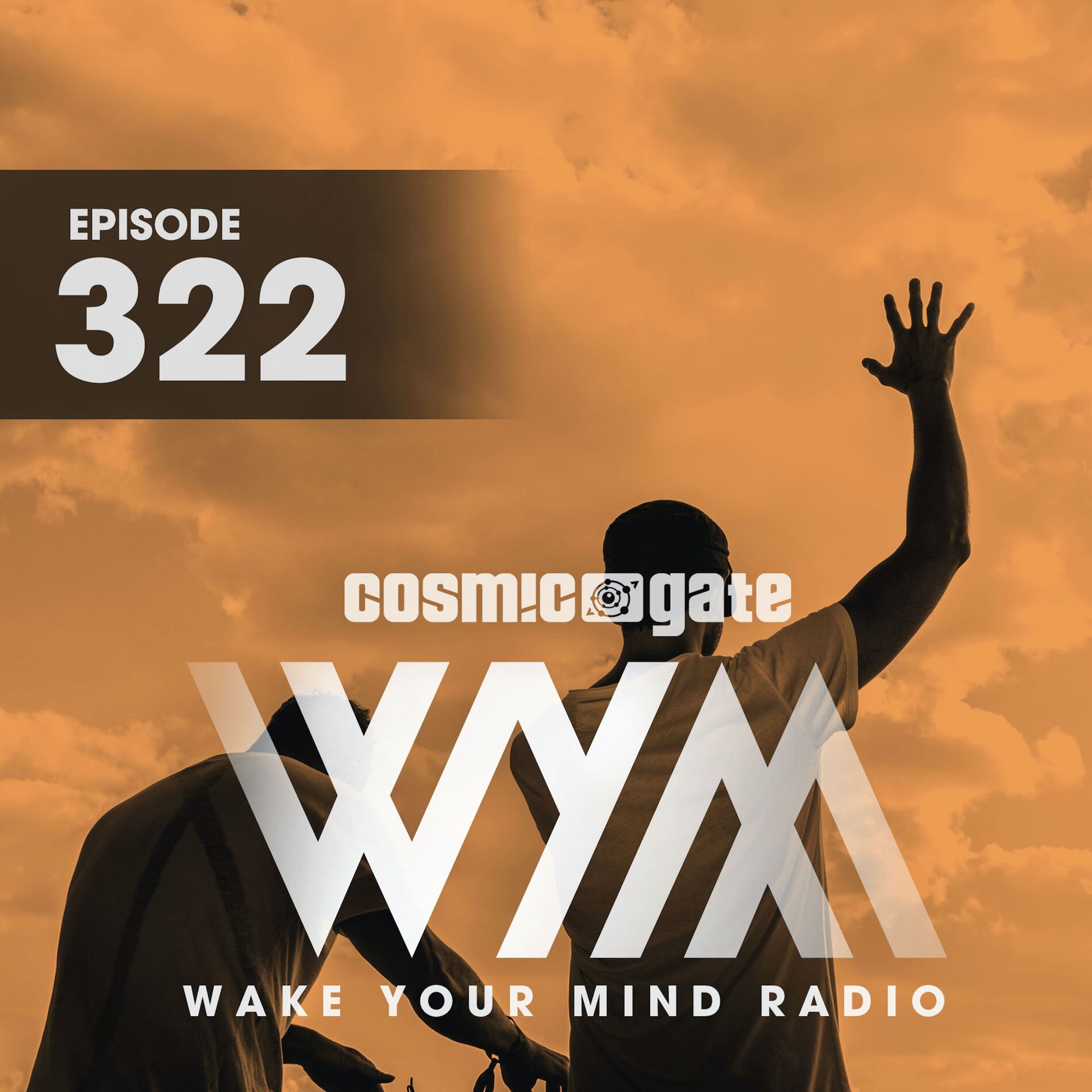 Album cover of Ayla (WYM322)