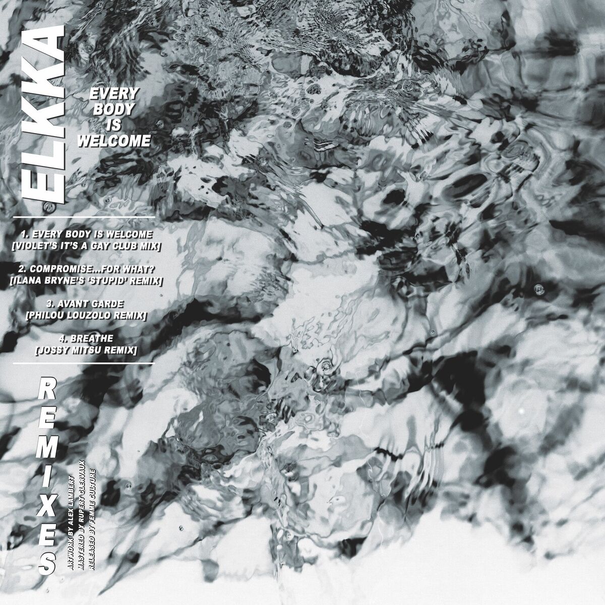 Album cover of Every Body Is Welcome Remixes