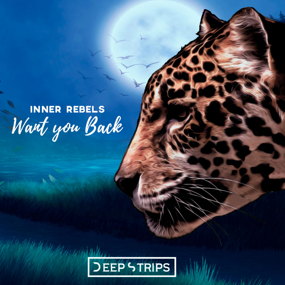 Picture of Want You Back