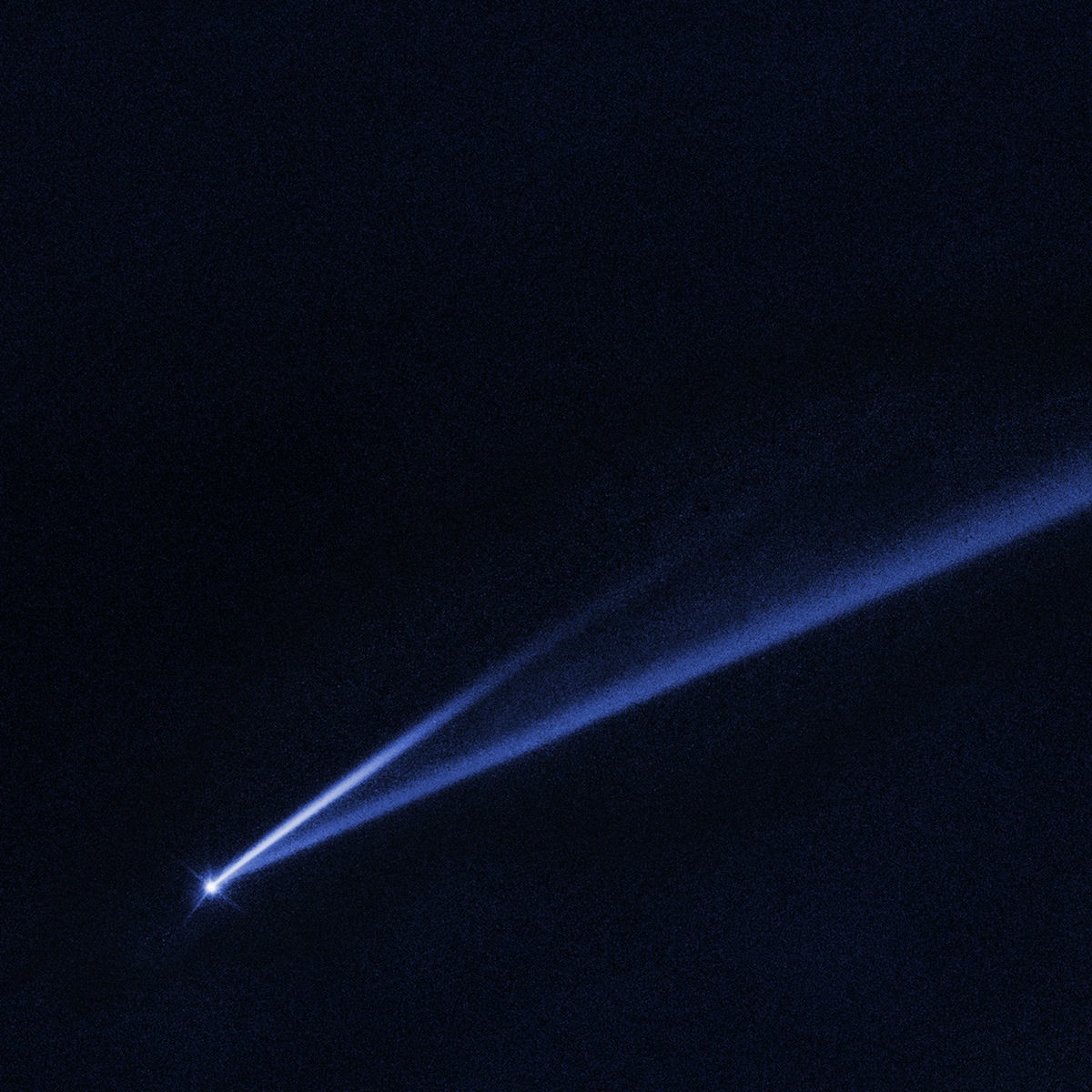 Album cover of Midnights in Plvtopia