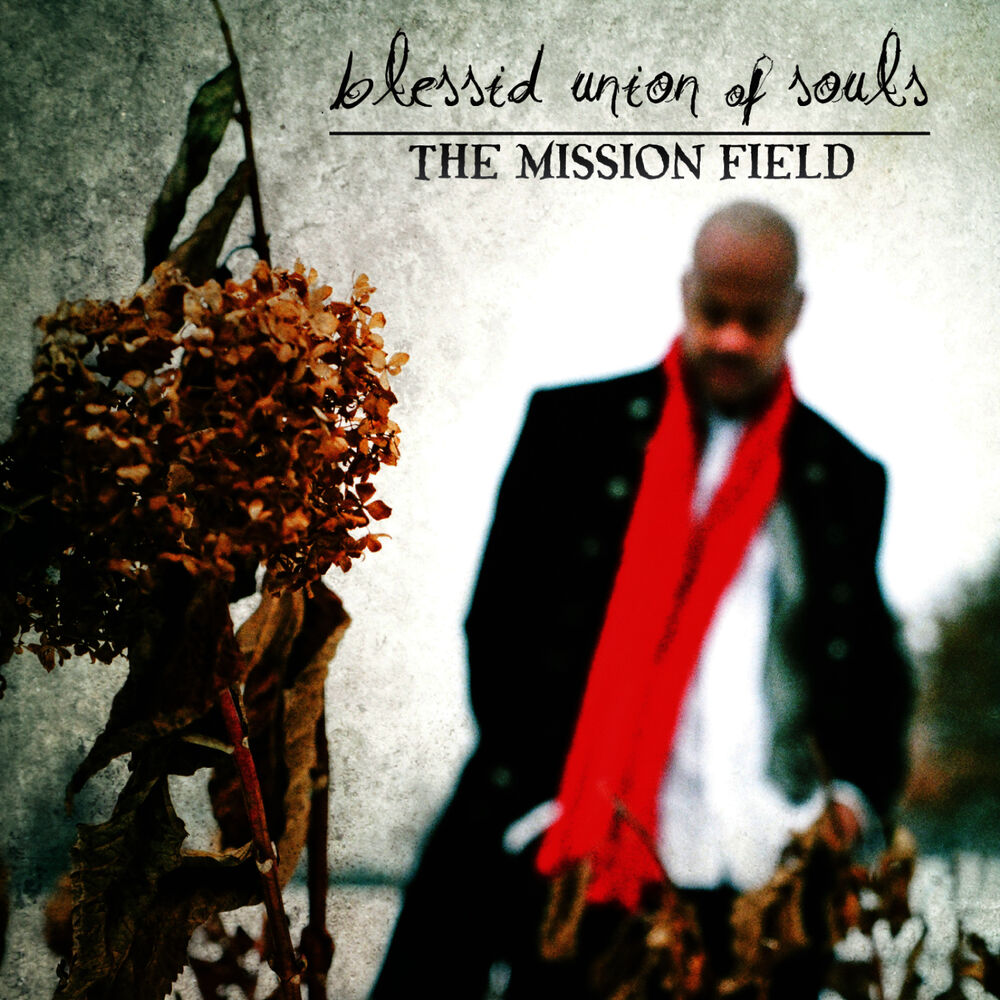 Picture of The Mission Field