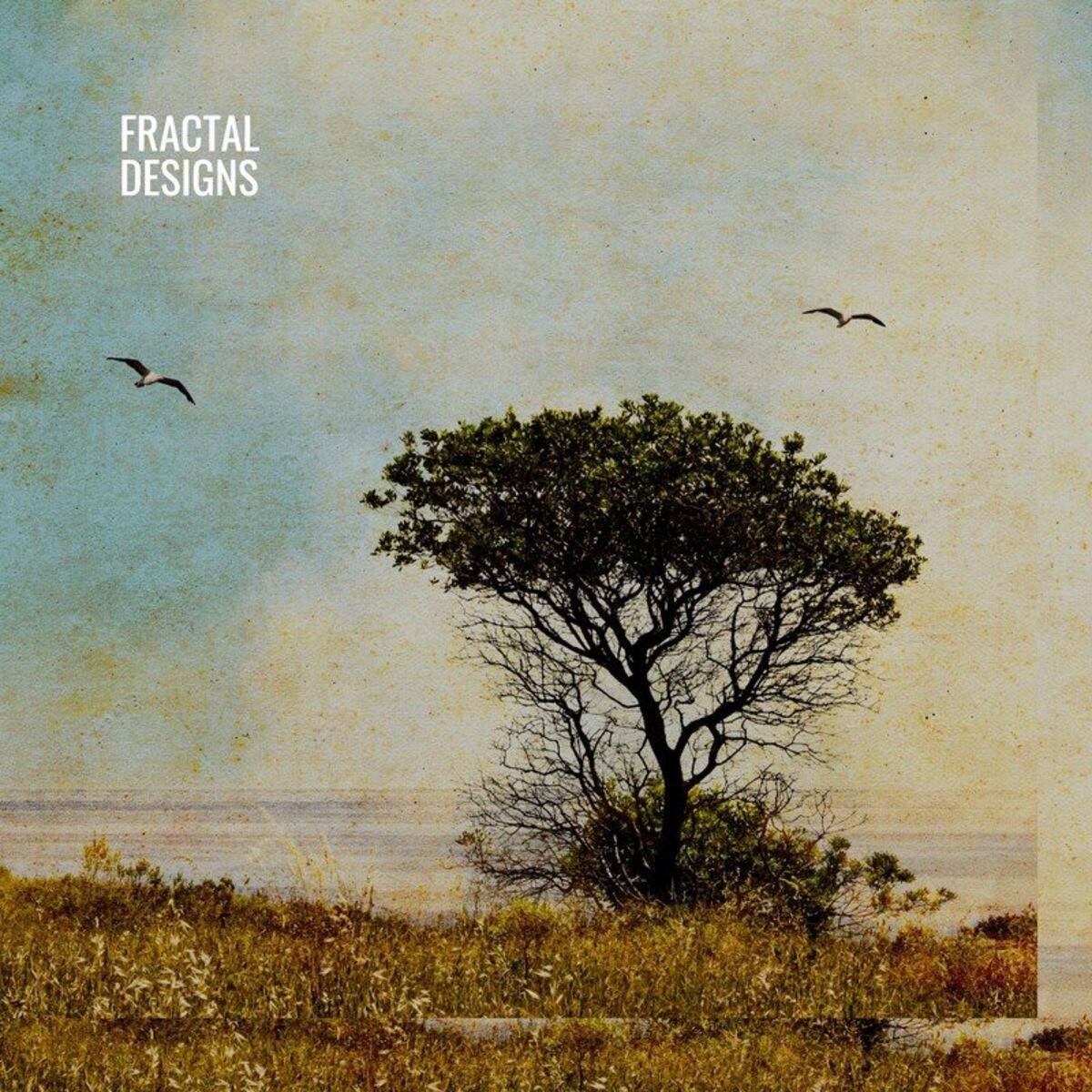 Album cover of All True