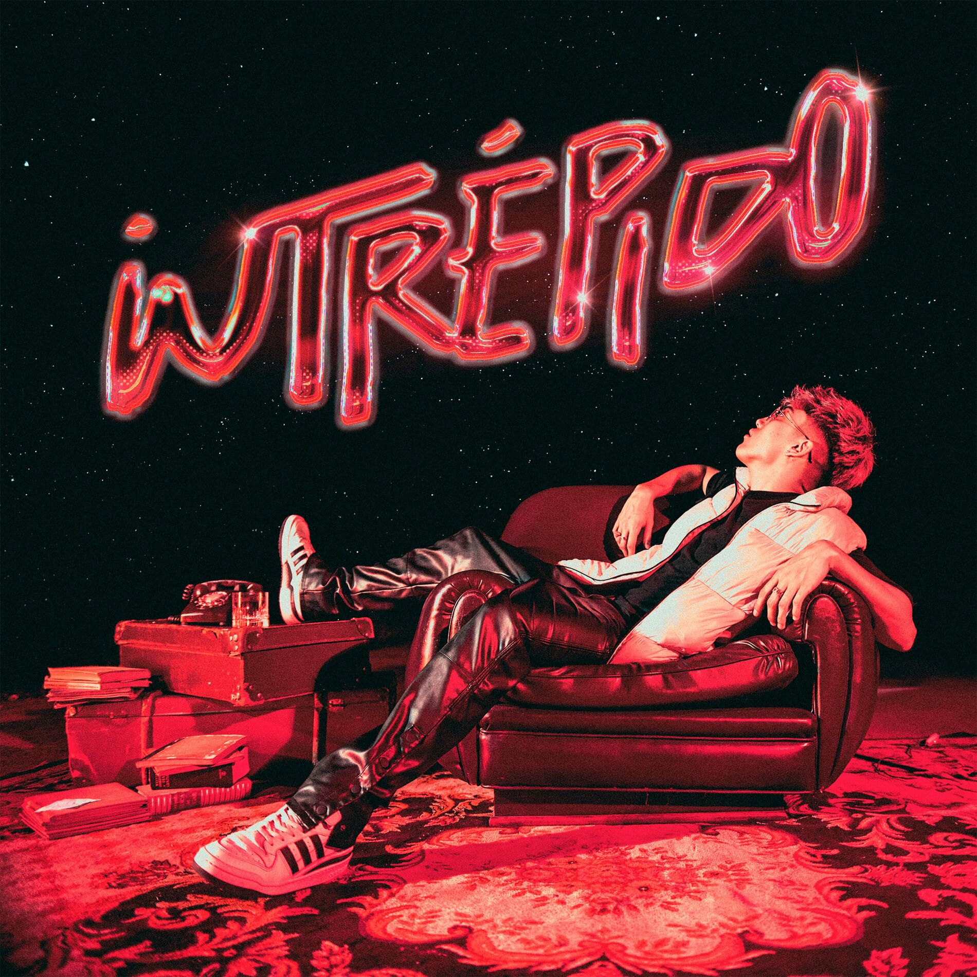 Album cover of INTRO
