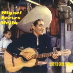 Cover of Entre Copa Y Copa