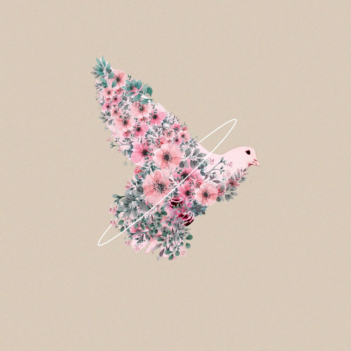 Album cover of Le cantique des cantiques
