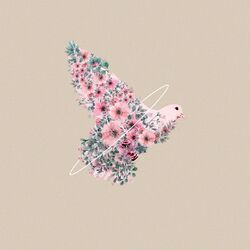 Cover of Le cantique des cantiques