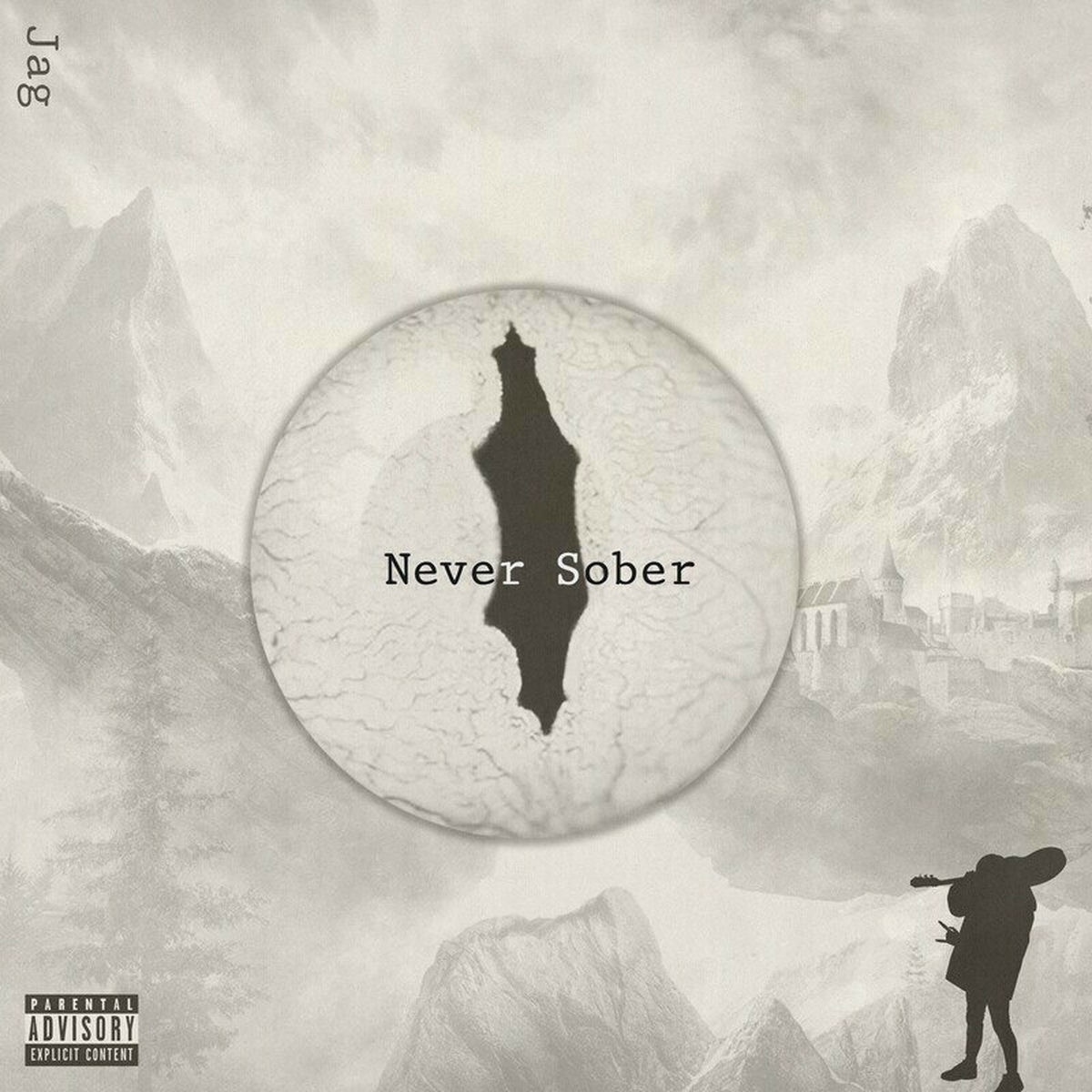 Album cover of Never Sober