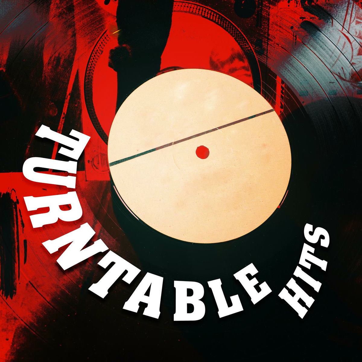 Album cover of Turntable Hits