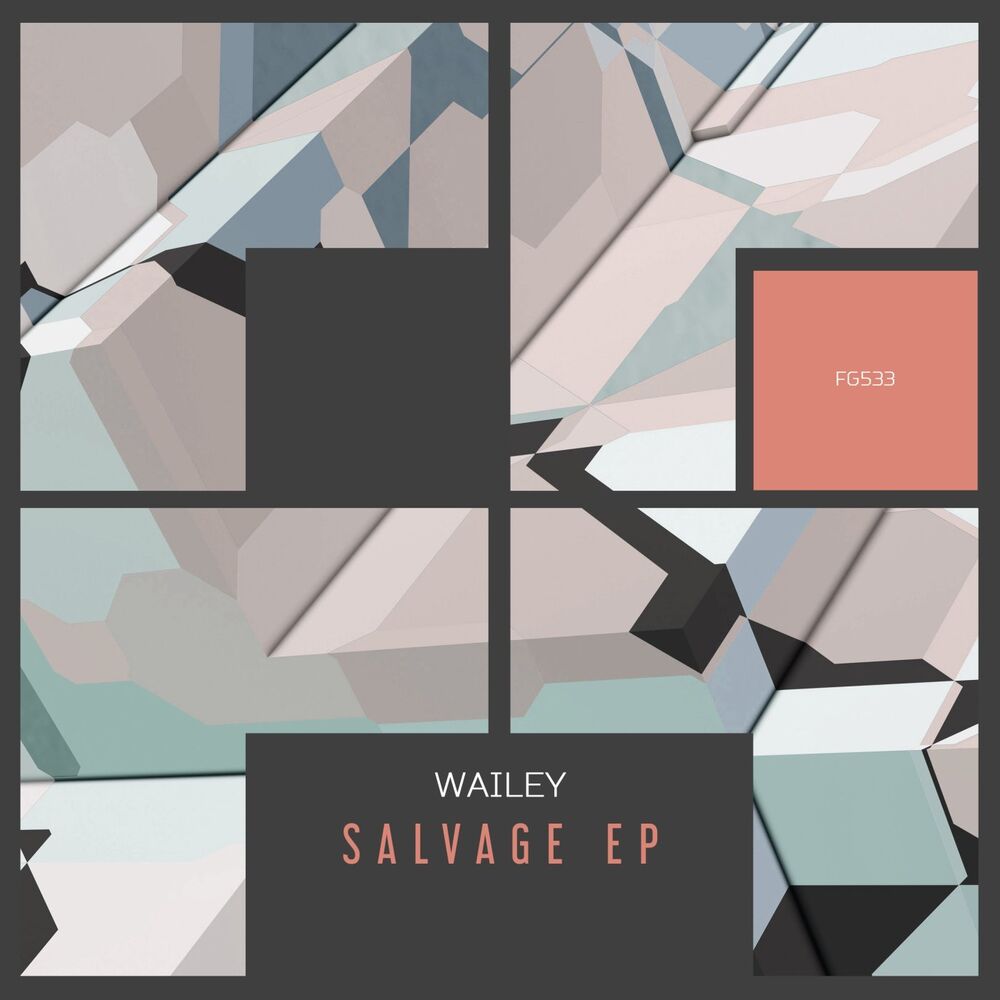 Picture of Salvage EP