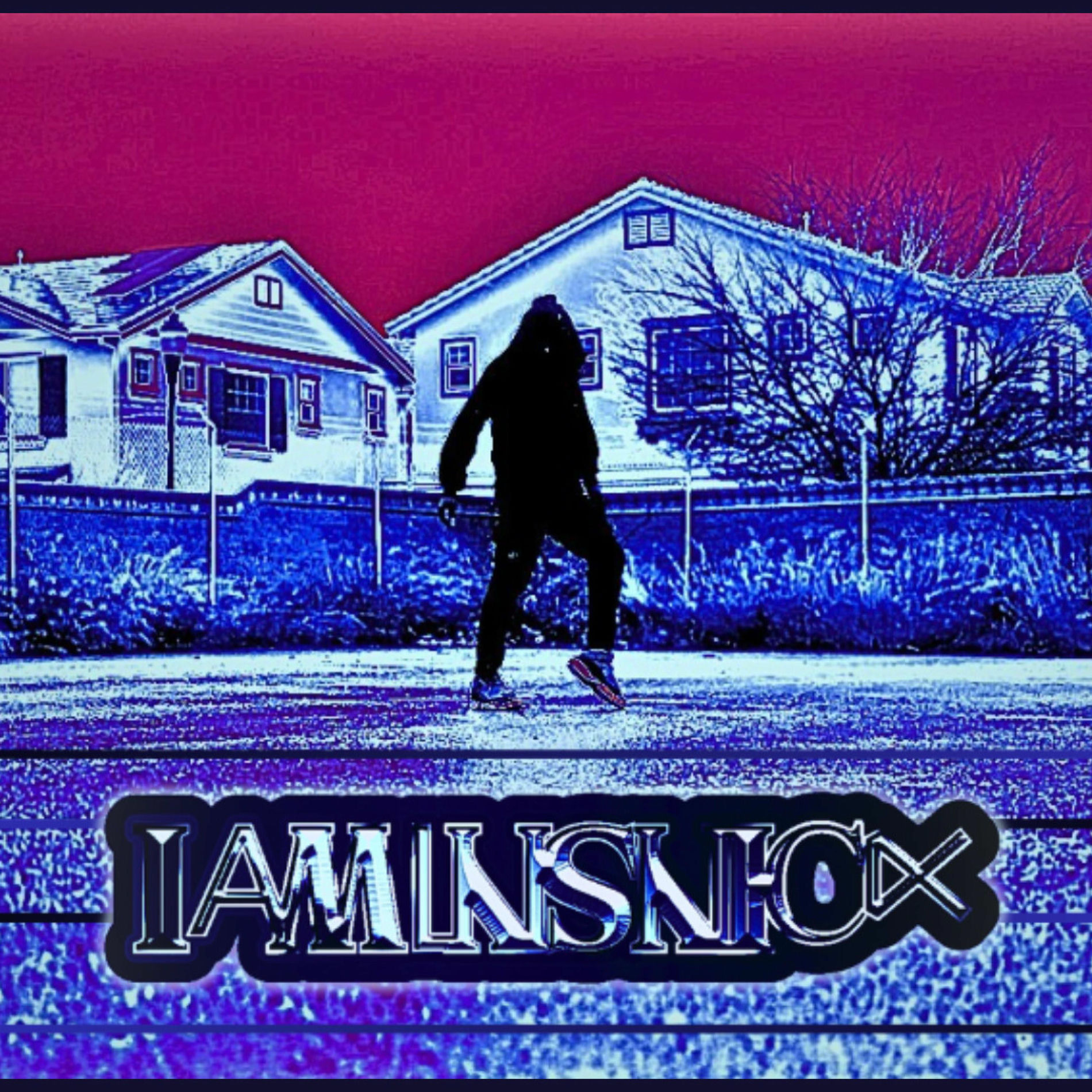 Album cover of IAMLNSNICK2025